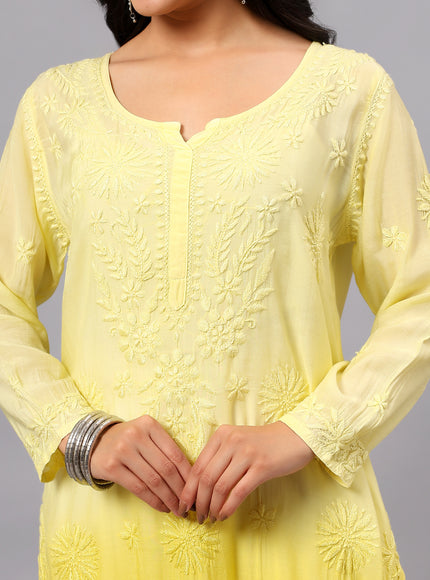 Fiza Pure Muslin Ombre Chikankari Kurti for Women| Lucknowi Craft